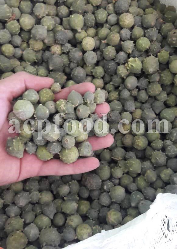 High Quality Bulk Aleppo Oak Gallnuts for Sale. Quercus infectoria Gall Nuts Wholesaler, Supplier, Exporter and Provider. Buy Cyprus Oak Gall with the Best Price.