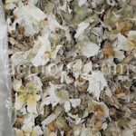 Bulk Marshmallow and Hollyhock Flowers for Sale. Althaea officinalis and Althaea rosea Flowers Wholesaler, Supplier, Exporter and Provider.