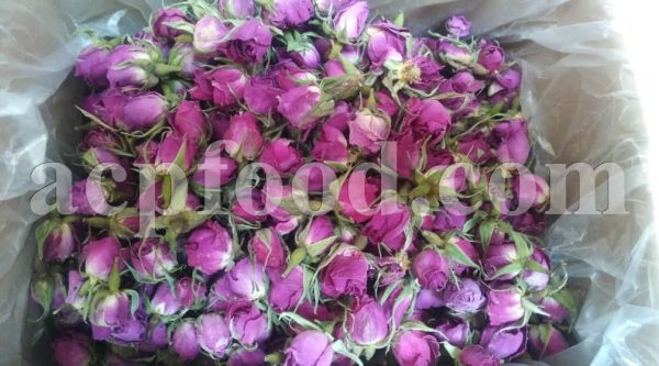 High Quality Aromatic Damask Rose Buds and Petals for sale. Bulk Rosa damascena buds and petals wholesaler, supplier, exporter and provider.