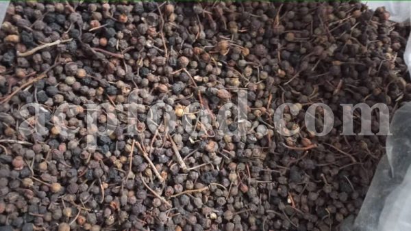 Bulk Dried Elderberry for sale. Sambucus nigra Dried Fruit Wholesaler, Supplier, Exporter and Provider. Buy High Quality Black Elderberry with the Best Price.