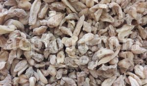 Bulk Salep for Sale. Salep Root or Bulb Wholesaler, Supplier, Exporter and Provider. Buy High Quality Heath Spotted Orchid Bulb with the Best Price. Purchase Bulk Early Purple Orchid Bulb.