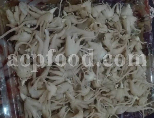 Bulk Salep for Sale. Salep Root or Bulb Wholesaler, Supplier, Exporter and Provider. Buy High Quality Heath Spotted Orchid Bulb with the Best Price. Purchase Bulk Early Purple Orchid Bulb.