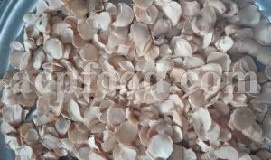 High Quality Persian Shallot (Allium ascalonicum) for Sale. Bulk Wild Onion for Sale. Ornamental Onion (Allium jesdianum) Wholesaler, Supplier, Exporter and Provider. Buy Wild Garlic with the Best Price.