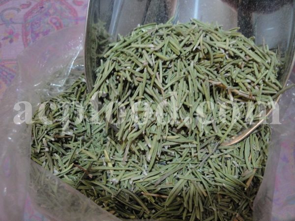 High Quality Bulk Rosemary for Sale. Extraordinary Aromatic Rosmarinus officinalis Leaves Wholesaler, Supplier, Exporter and Provider. Buy Rosemary with the Best Price.