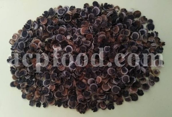 Bulk Marshmallow Seeds for Sale. Althaea officinalis Seed Wholesaler, Supplier, Exporter and Provider. Buy High Quality Hollyhock Seed with the Best Price. Purchase Althaea Rosea Seed.