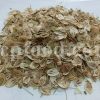 High Quality Aromatic Heracleum Persicum Seeds for sale. Bulk Persian Hogweed. Buy Angelica Seeds with the Best Price. Angelica Golpar for sale.