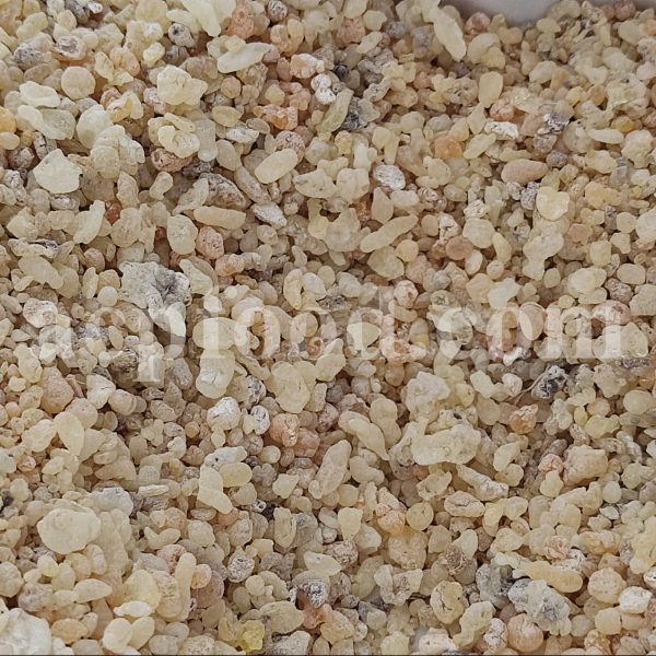 High Quality Terebinth Gum for Sale. Bulk Pistacia terebinthus Resin Wholesaler, Supplier, Exporter and Provider. Buy Shirazi Mastic with the Best Price.