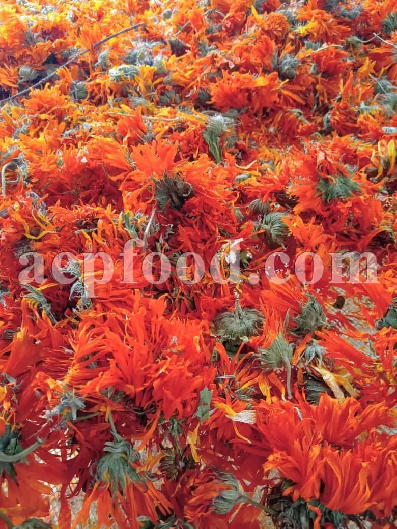 Bulk Calendula Flowers for Sale. Pot Marigold Petals Wholesaler, Supplier, Exporter and Provider. Buy High Quality Calendula officinalis Flowers and Petals with the Best Price.