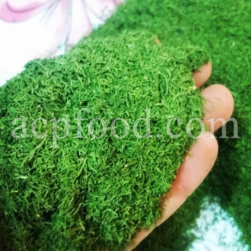 Bulk Dried Dill for sale. Anethum Graveolens Dried Leaves and Seeds Wholesaler, Supplier, Exporter and Provider. Buy High Quality Dill with the Best Price.