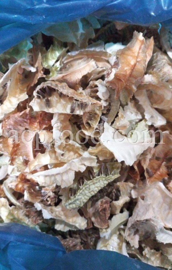 Bulk Colocynth Dried Fruit and Root for Sale. Citrullus colocynthis Dried Fruit and Root Wholesaler, Supplier, Exporter, Provider.