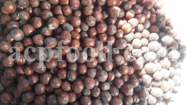 Bulk Jujube for Sale. High Quality Ziziphus jujuba Fruit Wholesaler, Supplier, Exporter and Provider. Buy High Quality Chinese Date with the Best Price.