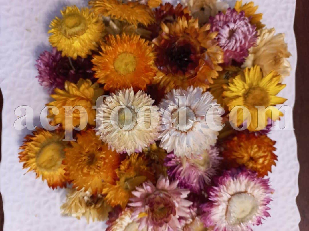 High Quality Bulk Dried Daisy for Sale. Bellis perennis Dried Flowers Wholesaler, Supplier, Exporter and Provider. Buy Five-star Common Daisy with the Best Price.