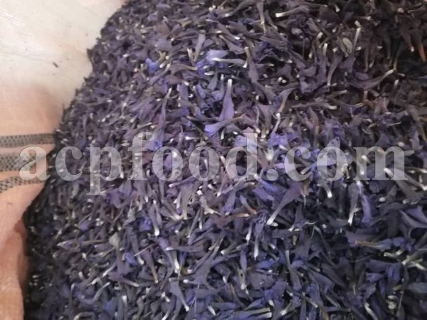 Bulk Echium amoenum for Sale. Persian Borage Wholesaler, Supplier, Exporter and Provider. Buy High Quality Iranian Bugloss with the Best Price.