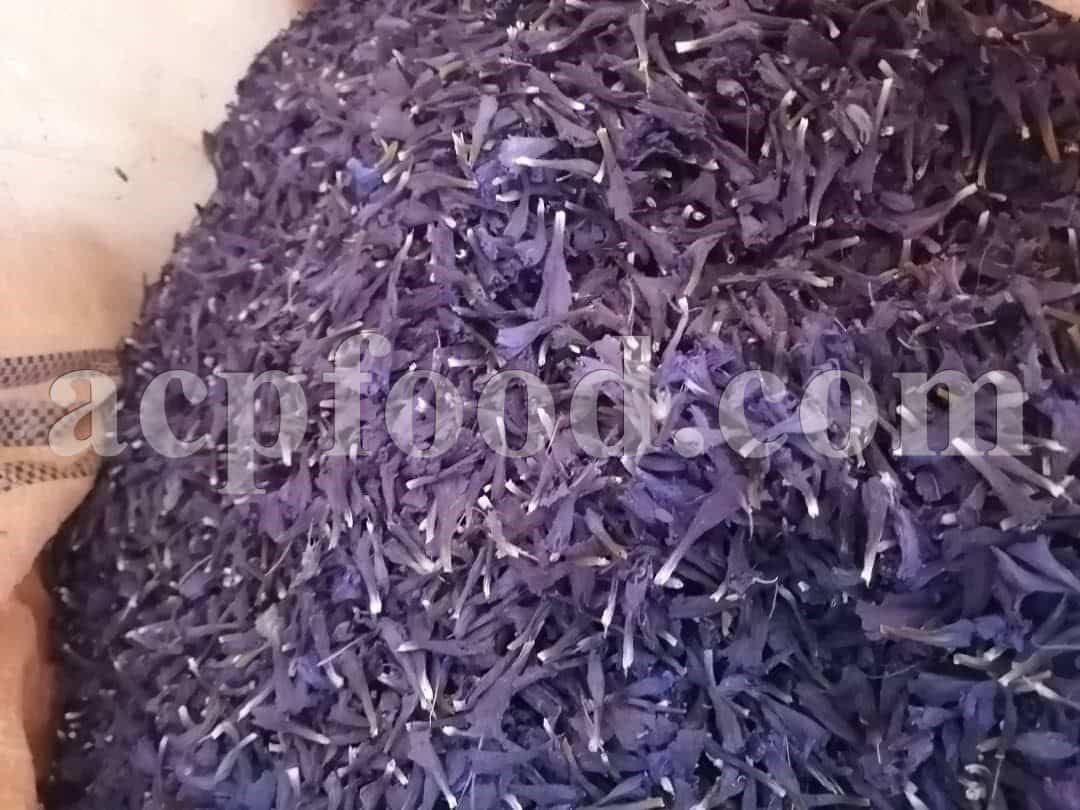 Bulk Echium amoenum for Sale. Persian Borage Wholesaler, Supplier, Exporter and Provider. Buy High Quality Iranian Bugloss with the Best Price.