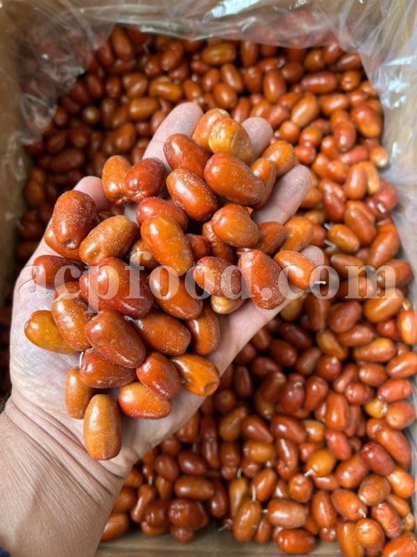 Dried Russian Olive for sale. Elaeagnus Angustifolia fruits for sale.