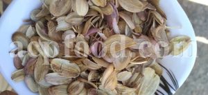 Ferula Asafoetida seeds Wholesaler.