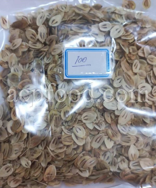 High Quality Aromatic Heracleum Persicum for sale. Bulk Persian Hogweed Wholesaler, Supplier, Exporter and Provider. Buy Angelica Seeds with the Best Price.