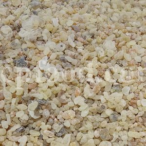 Shirazi Mastic Tree Gum wholesale. Terebinth Resin For Sale. Buy Mastic resin.