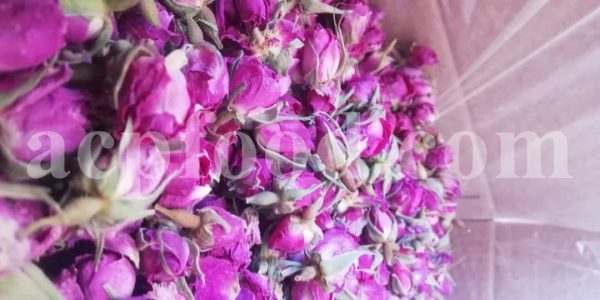 Hochwertige aromatische Damaszener-Rosenknospen und -Blütenblätter zu verkaufen. Großhändler, Lieferant, Exporteur und Anbieter von Rosa damascena-Knospen und -Blütenblättern in großen Mengen.