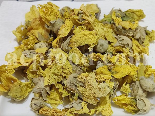 Bulk Marshmallow Flowers for Sale. Althaea officinalis Flowers Wholesaler, Supplier, Exporter and Provider. Buy High Quality Hollyhock Flowers with the Best Price. Purchase Althaea Rosea Flowers.