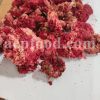 Bulk Punica granatum Flowers, Seeds and Fruit Peels for Sale. Pomegranate Flower Wholesaler, Supplier, Exporter and Provider. Buy High Quality Bulk Pomegranate Seeds with the Best Price.