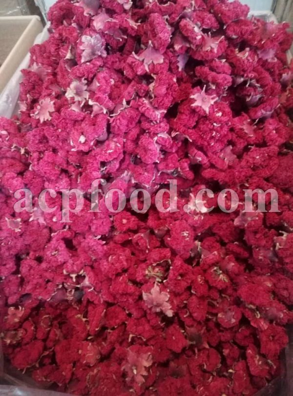 Bulk Punica granatum Flowers, Seeds and Fruit Peels for Sale. Pomegranate Flower Wholesaler, Supplier, Exporter and Provider. Buy High Quality Bulk Pomegranate Seeds with the Best Price.
