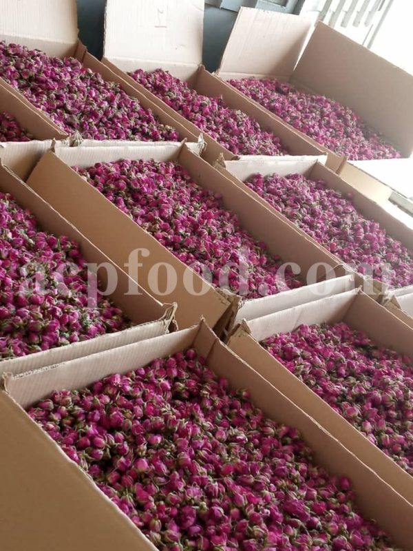 Boutons et pétales de rose de Damas aromatiques de haute qualité à vendre. Grossiste, fournisseur, exportateur et prestataire de bourgeons et pétales de Rosa damascena en vrac.