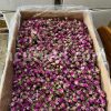 Boutons et pétales de rose de Damas aromatiques de haute qualité à vendre. Grossiste, fournisseur, exportateur et prestataire de bourgeons et pétales de Rosa damascena en vrac.