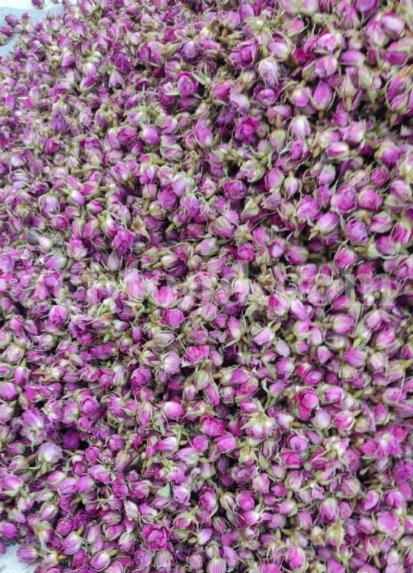 Boutons et pétales de rose de Damas aromatiques de haute qualité à vendre. Grossiste, fournisseur, exportateur et prestataire de bourgeons et pétales de Rosa damascena en vrac.