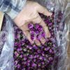 Boutons et pétales de rose de Damas aromatiques de haute qualité à vendre. Grossiste, fournisseur, exportateur et prestataire de bourgeons et pétales de Rosa damascena en vrac.