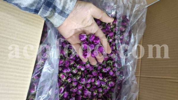 Boutons et pétales de rose de Damas aromatiques de haute qualité à vendre. Grossiste, fournisseur, exportateur et prestataire de bourgeons et pétales de Rosa damascena en vrac.