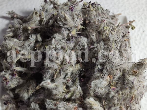Bulk Stachys lavandulifolia for sale. Pink Cotton Lamb’s Ear Wholesaler, Supplier, Exporter and Provider. Buy High Quality Stachys with the Best Price.