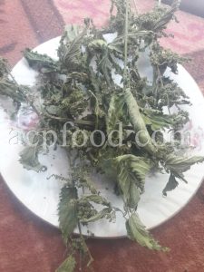 Urtica Dioica for sale.