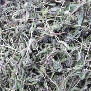 Thyme dried leaves for sale. Bulk dried Thyme leaves. Dried thyme herb wholesale price. Buy Thyme leaves dried.