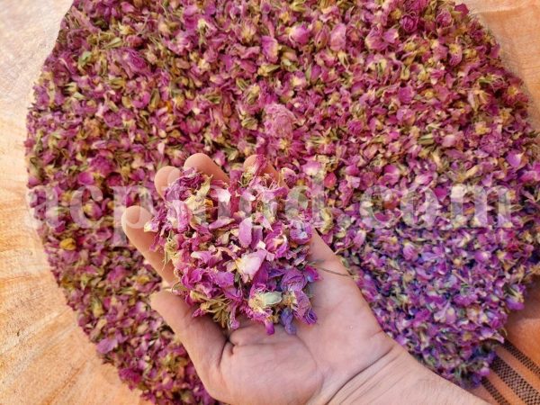 Venta de capullos y pétalos de rosa de Damasco aromáticos de alta calidad. Mayorista, proveedor, exportador y proveedor de capullos y pétalos de Rosa damascena a granel.