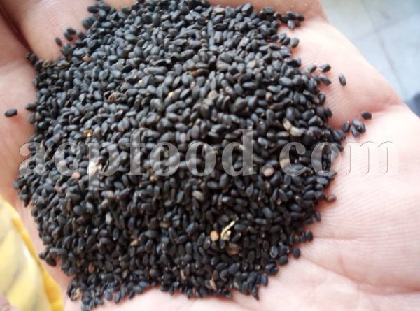 Bulk Basil Seeds for Sale. Ocimum basilicum Seeds Wholesaler, Supplier, Exporter and Provider. Buy High Quality Sweet Basil Seeds with the Best Price.