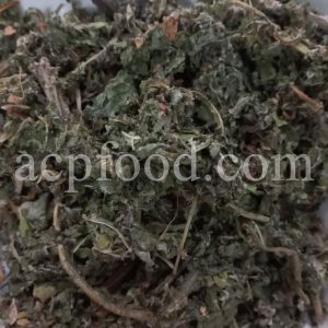 Bulk Coltsfoot for sale. Tussilago farfara Flowers, Leaves and Stems Wholesaler, Supplier, Exporter and Provider. Buy High Quality Coughwort with the Best Price.