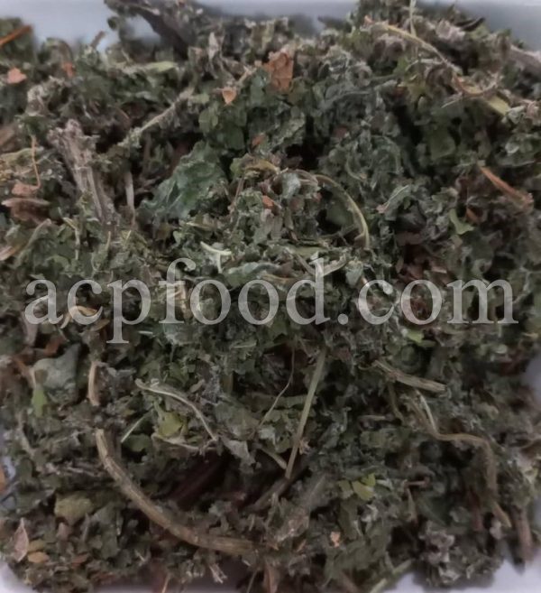 Bulk Coltsfoot for sale. Tussilago farfara Flowers, Leaves and Stems Wholesaler, Supplier, Exporter and Provider. Buy High Quality Coughwort with the Best Price.