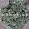 Bulk Origanum Vulgare for sale. Oregano Wholesaler, Supplier, Exporter and Provider. Buy High Quality Oregano with the Best Price.