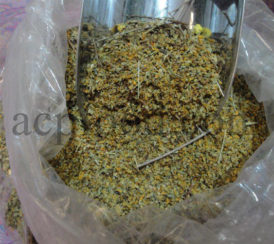 Bulk St. Johns Wort for sale. Dried St Johns Wort Wholesaler, Supplier, Exporter and Provider. Buy High Quality Hypericum Perforatum Dried Flowers with the Best Price.