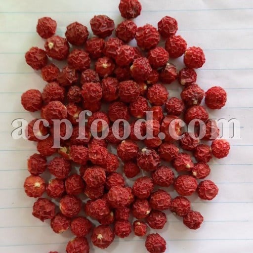 Bulk Physalis Alkekengi Fruits and Flowers For Sale. Chinese Lantern Wholesaler, Supplier, Exporter and Provider. Buy High Quality Japanese Lantern with the Best Price.