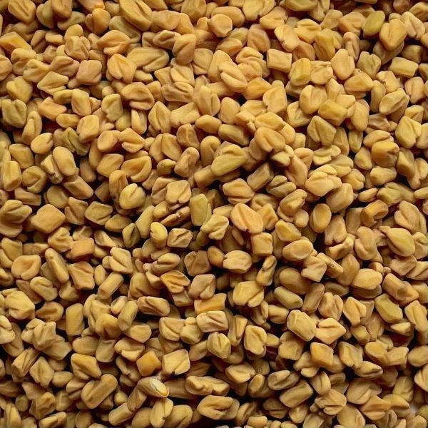 Bulk Fenugreek Seeds For Sale. Fenugreek Seed Wholesaler, Supplier, Exporter and Provider. Buy Trigonella foenum-graecum Seeds with the Best Price.