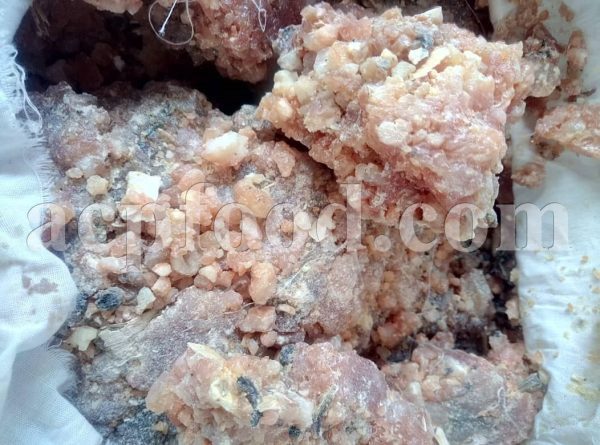 Bulk Opoponax Gum for sale. Opoponax Resin Wholesaler, Supplier, Exporter and Provider. Buy High Quality Opopanax Persicus Resin with the Best Price.