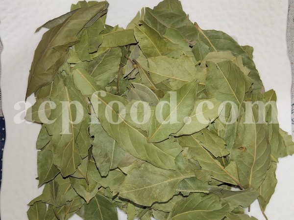 Bulk Bay Leaves for sale. Laurus nobilis Leaves Wholesaler, Supplier, Exporter and Provider. Buy High Quality Bay Laurel Leaf with the Best Price.
