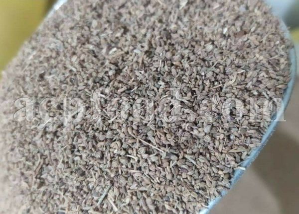 Bulk Ajwain Seeds for Sale. Trachyspermum Ammi Seeds Wholesaler, Supplier, Exporter and Provider. Buy High Quality Ajwain Seeds with the Best Price.