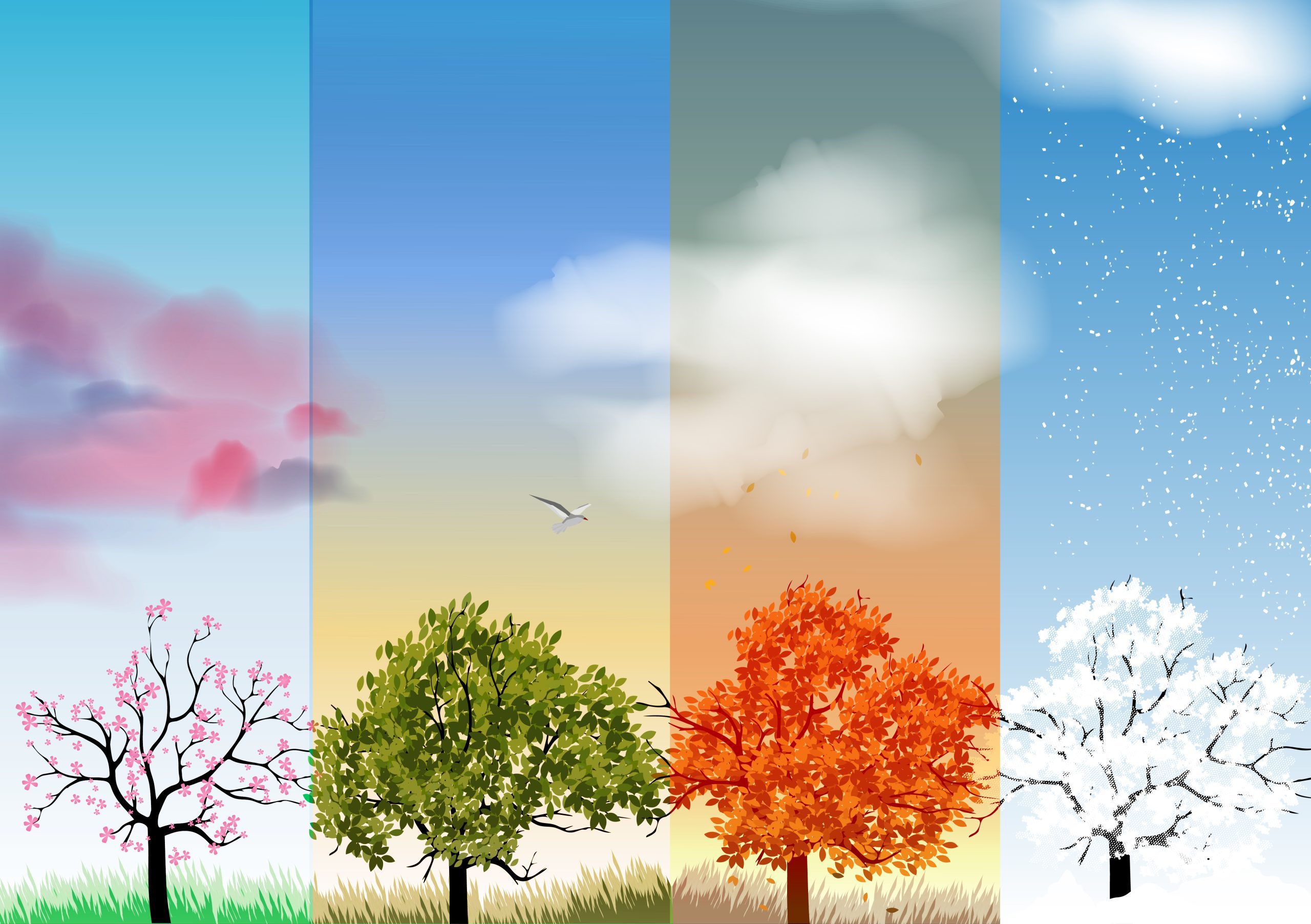 Temperament of the seasons.