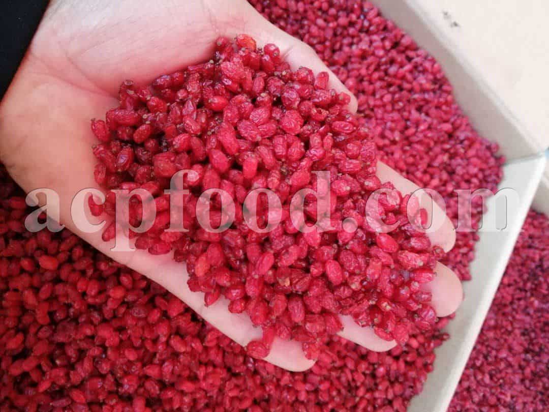 Bulk Dried Barberry for Sale. Barberry Wholesaler, Supplier, Exporter and Provider. Buy High Quality Dried Barberry with the Best Price.