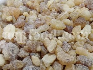 Bulk Frankincense for sale. Boswellia Wholesaler, Supplier, Exporter and Provider. Buy High Quality Indian Frankincense with the Best Price.