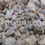 Bulk Frankincense for sale. Boswellia Wholesaler, Supplier, Exporter and Provider. Buy High Quality Indian Frankincense with the Best Price.