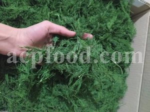 Bulk Dried Dill for sale. Anethum Graveolens Dried Leaves and Seeds Wholesaler, Supplier, Exporter and Provider. Buy High Quality Dill with the Best Price.
